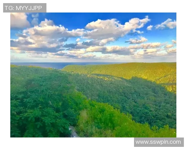 足球明星与女明星的完美壁纸合集让你领略不同风采的魅力与激情 足球明星与女明星的完美壁纸合集让你领略不同风采的魅力与激情
