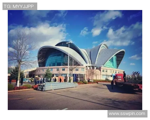 成都足球队在世锦赛上的拼搏历程与荣耀时刻全景回顾